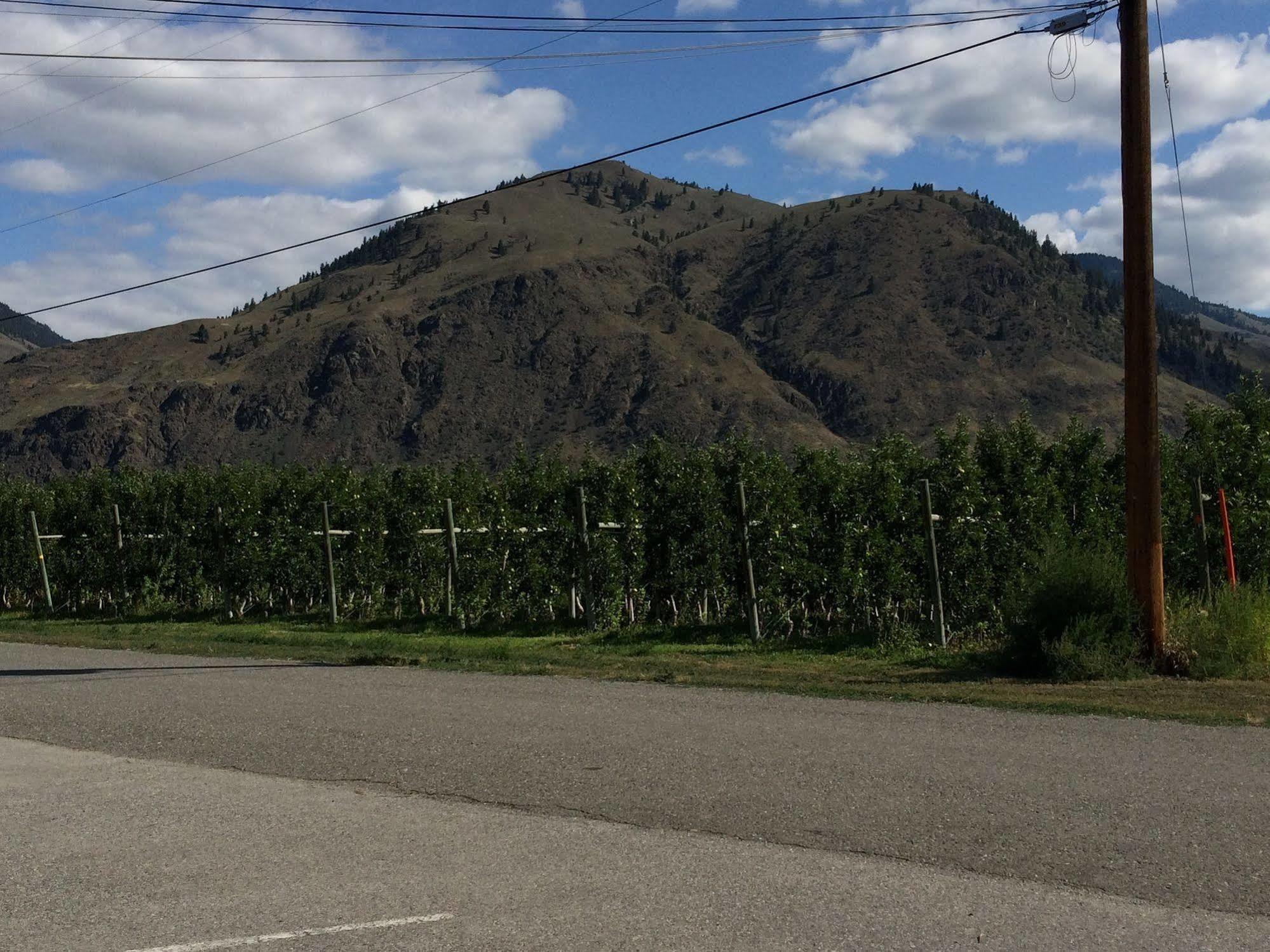 Crowsnest Vineyards Guesthouse Keremeos Exterior foto